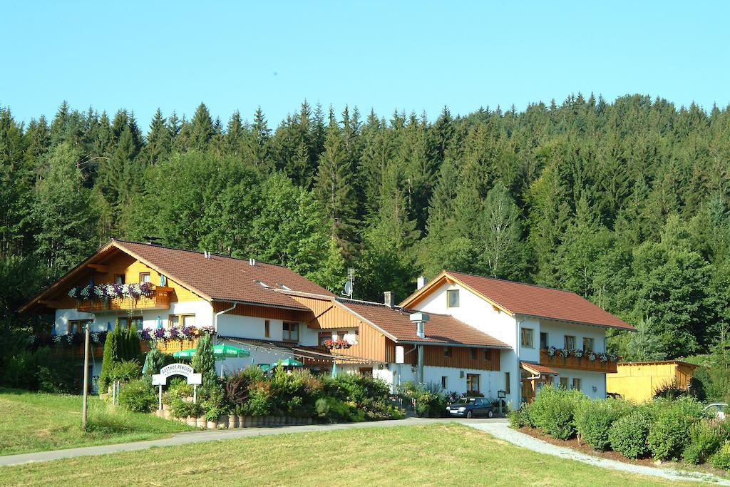 Gasthaus Pension Sternknoeckel Bodenmais Exterior foto