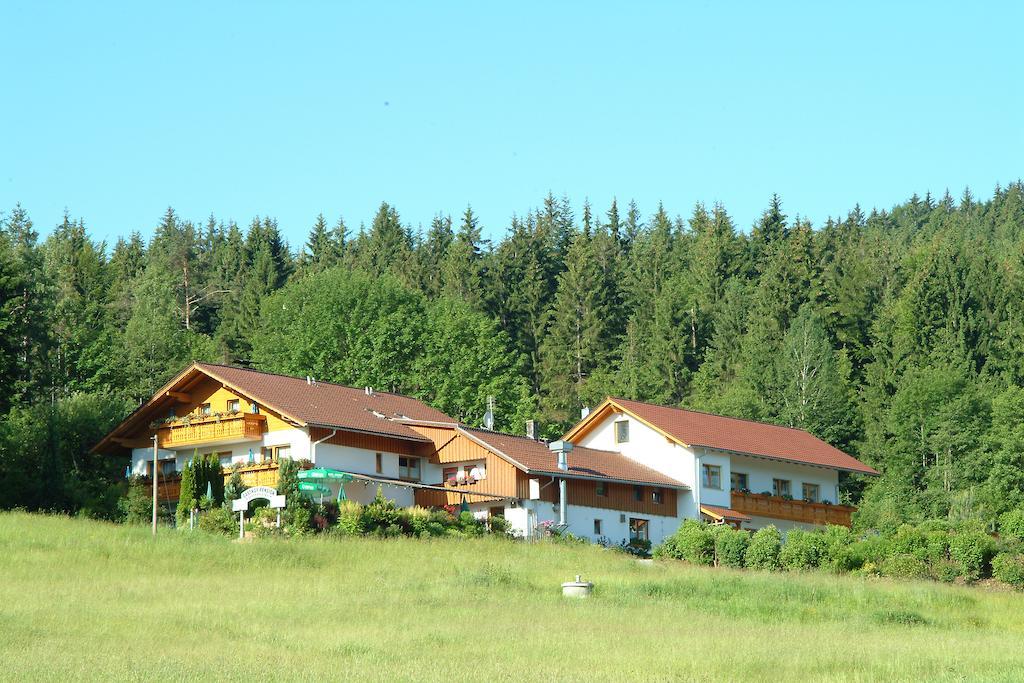 Gasthaus Pension Sternknoeckel Bodenmais Exterior foto