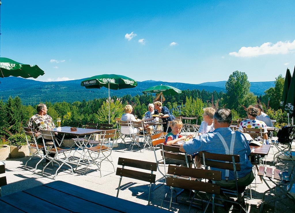 Gasthaus Pension Sternknoeckel Bodenmais Exterior foto