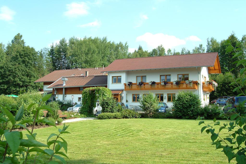 Gasthaus Pension Sternknoeckel Bodenmais Exterior foto